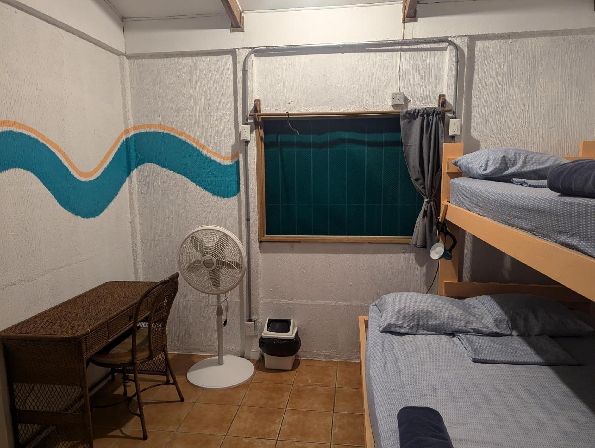 Tasty Dayz Hostel Puerto Viejo de Talamanca Εξωτερικό φωτογραφία