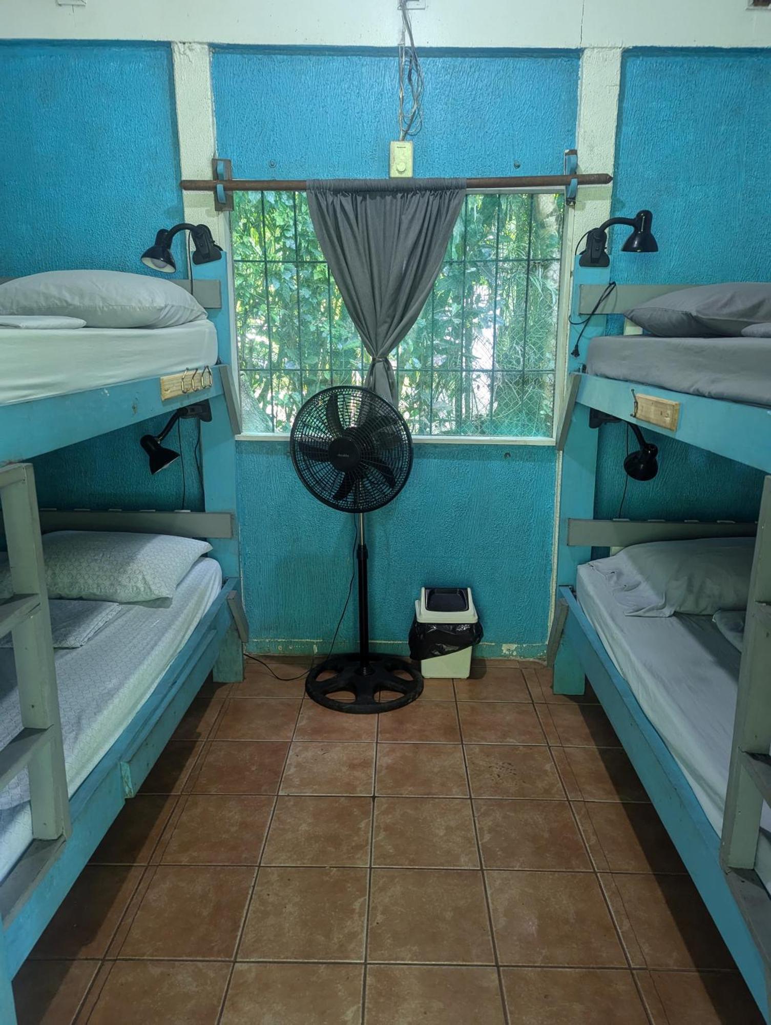 Tasty Dayz Hostel Puerto Viejo de Talamanca Εξωτερικό φωτογραφία