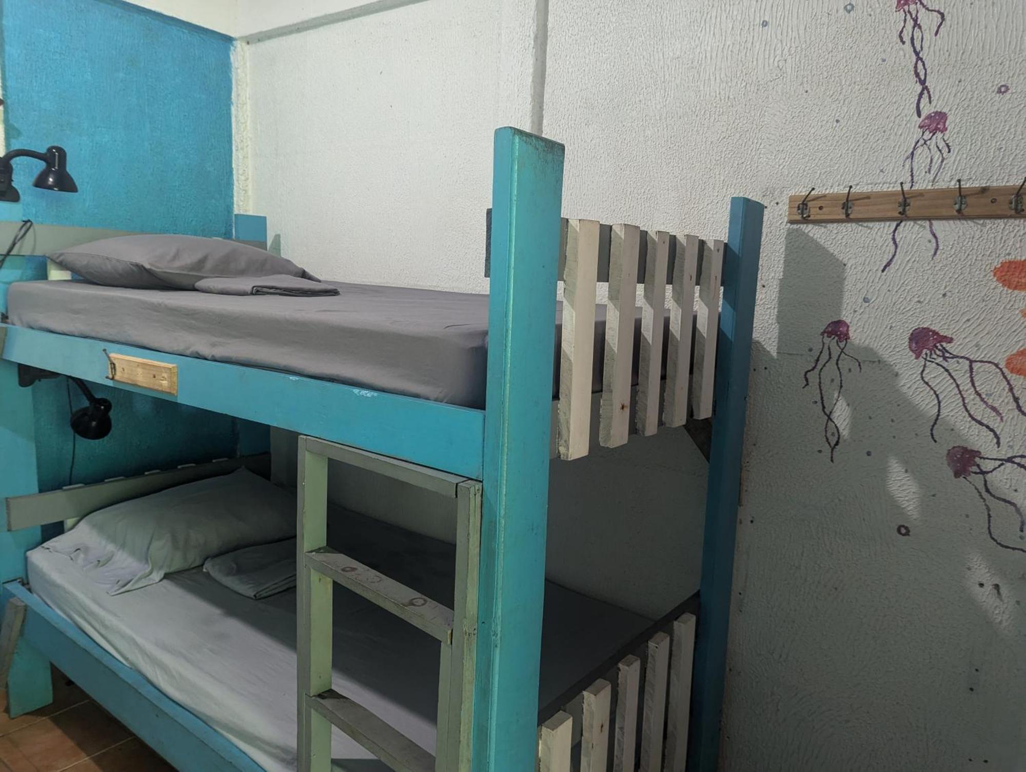 Tasty Dayz Hostel Puerto Viejo de Talamanca Εξωτερικό φωτογραφία
