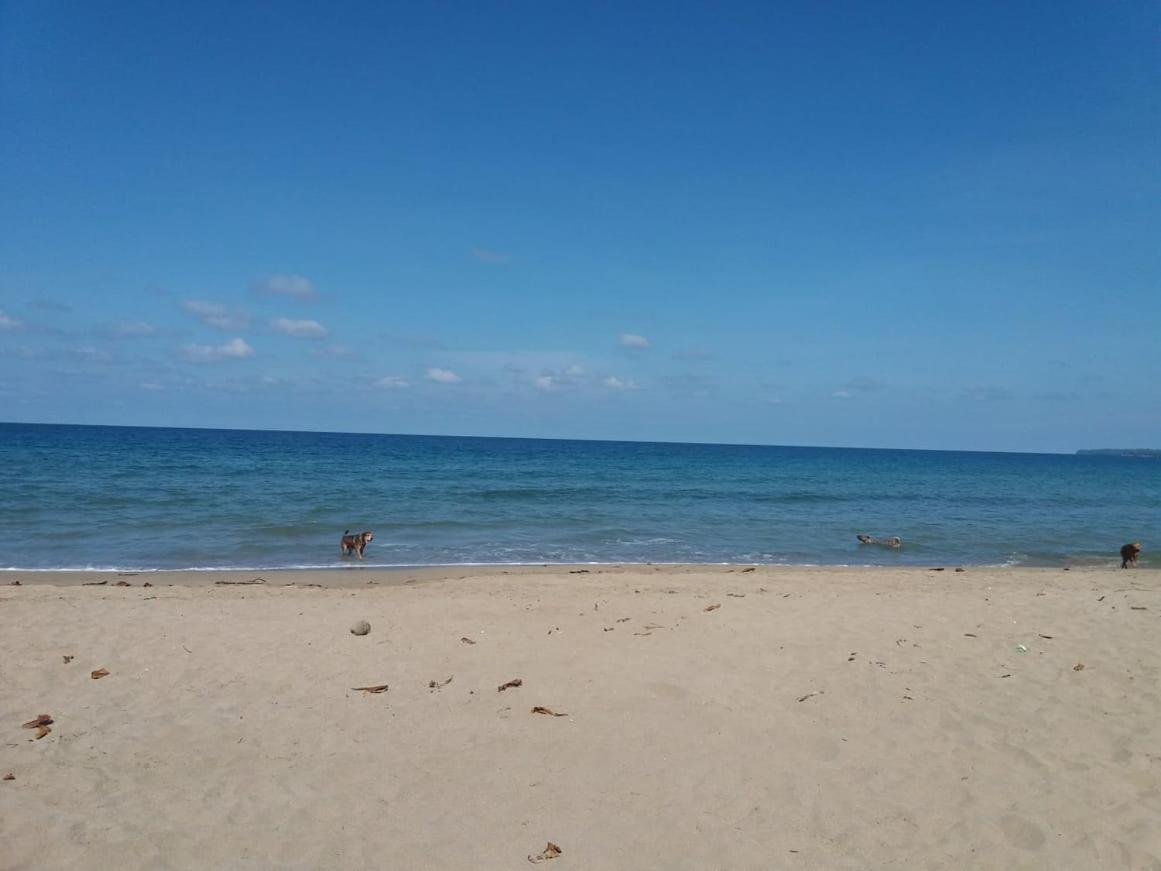 Tasty Dayz Hostel Puerto Viejo de Talamanca Εξωτερικό φωτογραφία