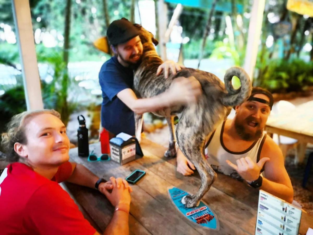 Tasty Dayz Hostel Puerto Viejo de Talamanca Εξωτερικό φωτογραφία