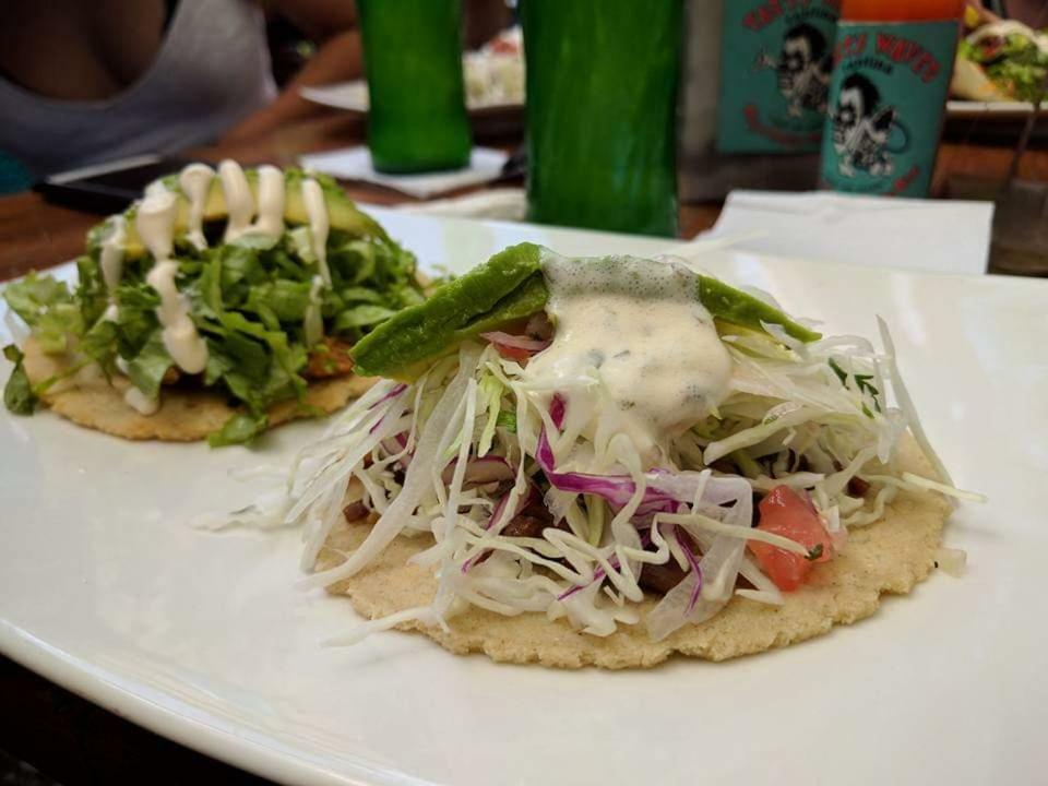 Tasty Dayz Hostel Puerto Viejo de Talamanca Εξωτερικό φωτογραφία