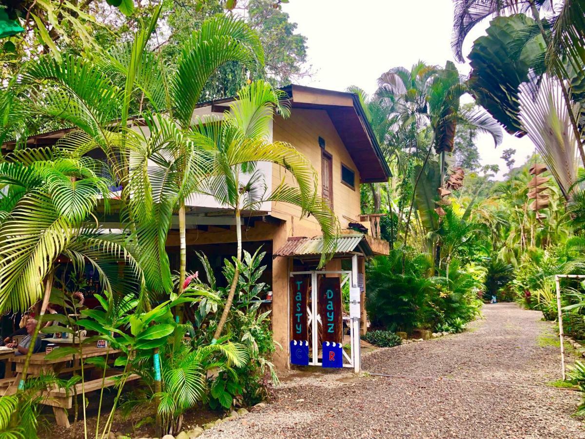 Tasty Dayz Hostel Puerto Viejo de Talamanca Εξωτερικό φωτογραφία