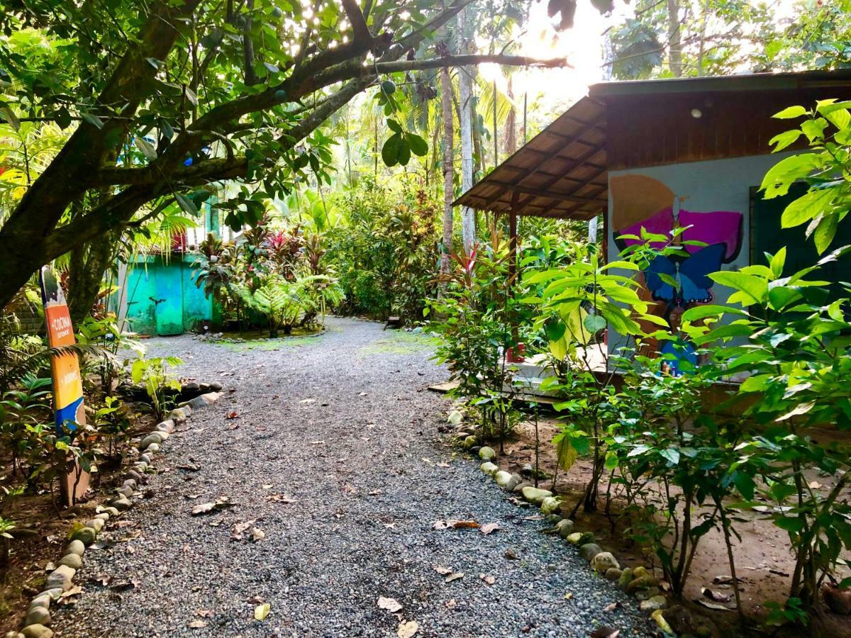 Tasty Dayz Hostel Puerto Viejo de Talamanca Εξωτερικό φωτογραφία