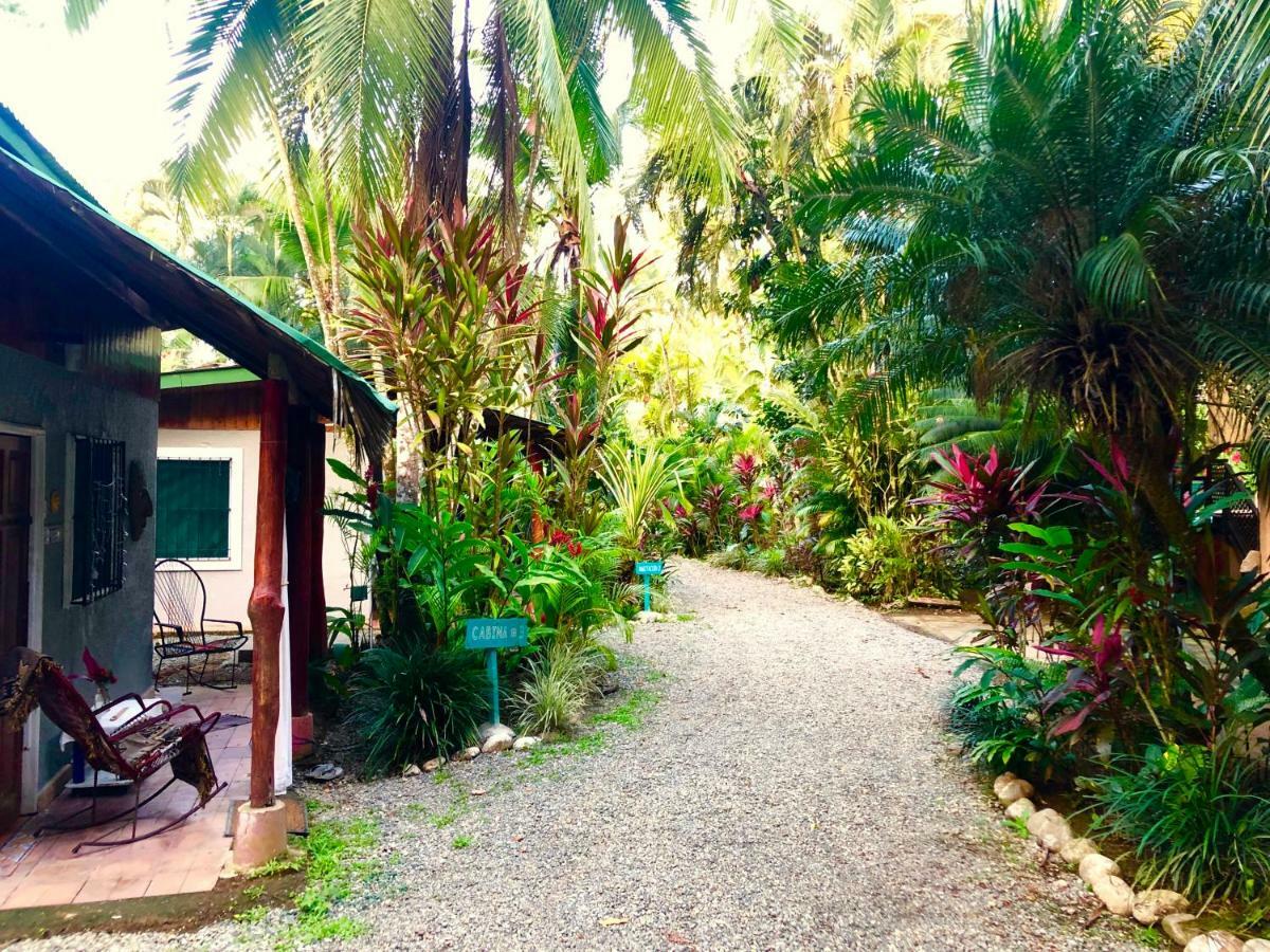 Tasty Dayz Hostel Puerto Viejo de Talamanca Εξωτερικό φωτογραφία