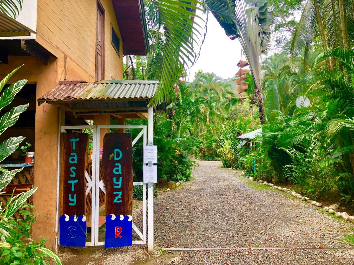 Tasty Dayz Hostel Puerto Viejo de Talamanca Εξωτερικό φωτογραφία
