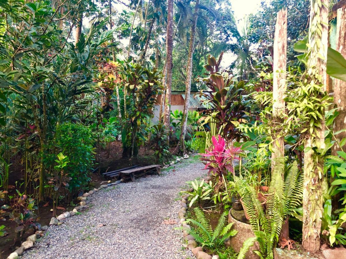 Tasty Dayz Hostel Puerto Viejo de Talamanca Εξωτερικό φωτογραφία